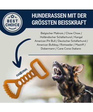 Buy Nosli Natural Rubber Dog Chewing Bones | Dental Bone Toys for Dogs | Non-Toxic & Dye-Free Rubber Dog Toys - Buy Online on GoSupps.com