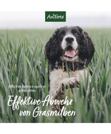Aniforte Grasmilbel Ex Spray 500ml - Effective Grass Mite & Parasite Defense for Dogs | Soothes Itchy Skin - Buy Online on GoSupps.com