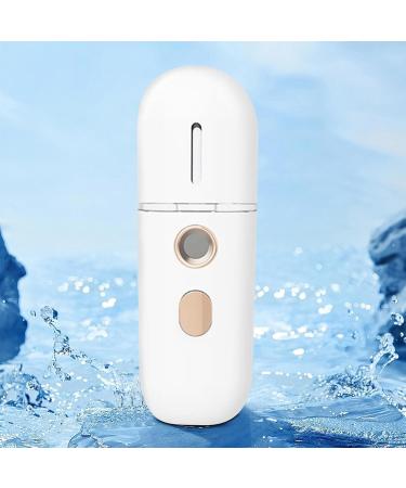 Vaporisateur Visage | Ionisateur Vapeur Nano - Vaporisateur Portable Hydratant pour Maquillage Quotidien et Transport Blanc - Buy Online on GoSupps.com