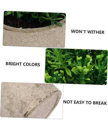 TOPBATHY False Green Plant 5 Pcs Simulated Potted Plant Pulp Potted Plants Household Fake Trees Artificial As Shownx5pcs 21.5x8cmx5pcs - Buy Online on GoSupps.com
