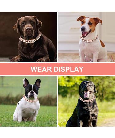Rosegold Dog Chain Diamond Cuban Collars Walking Rosegold Metal Chain Collar with Design Secure Buckle Pet Cuban Crystal Jewelry Collar Necklace Accessories for Dogs Cats(Rosegold 10inch) 10inch Rosegold - Buy Online on GoSupps.com