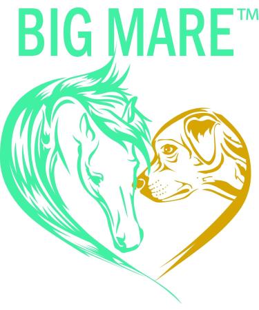 Big Mare Horse Thrush Spray | Clinically Proven Effective On Thrush. No Sting No Stain Formulation. Veterinary Approved & Recommended. - Buy Online on GoSupps.com