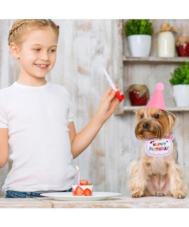 Kaket Cat Birthday Outfit Puppy Birthday Bib Small Dog Birthday Party Hat Dog Birthday Bandana Pet Birthday Accessories (Pink) - Buy Online on GoSupps.com