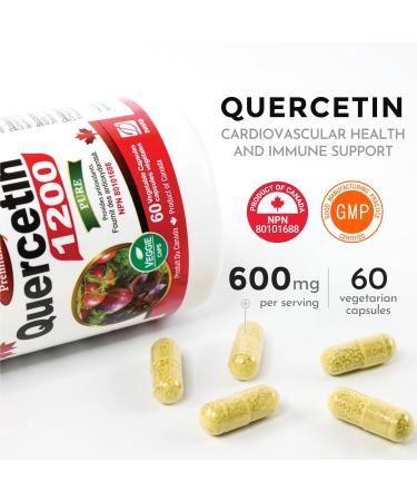 Nutridom Quercetin 600mg - Bioflavonoid - Quercetin Supplement - Supports Healthy Cellular Function Cardiovascular Health Immune Health & Response - Derived from the bud of the Japanese Pagoda tree Non-GMO Vegan Gluten-free (60 Veggie capsules) - Buy Online on GoSupps.com