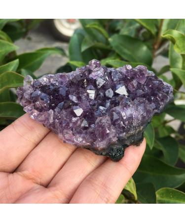 60-70g Natural Dream Amethyst Quartz Crystal Cluster Specimen Reiki Stone ERTEYIN - Buy Online on GoSupps.com