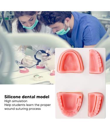 Dental Suture Exercise Set | Oral Suturing Training Tools for Medical & Dentistry Students - Silicone Models Pliers Tweezers Thread Included - Buy Online on GoSupps.com