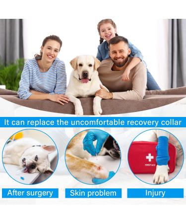 Etdane One-Divider for Dogs - Recovery Surgery Suit Anti-Hair Loss Sports Shirt Jumpsuit for Anxiety Relief - Violet Color - Buy Online on GoSupps.com