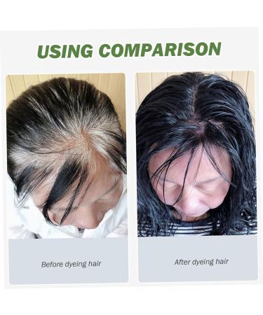 Black Hair Dye Plant Natural 500ml Hair Dye Shampoo White Foam Non-Irritating Hair Care Black Hair Shampoo for Women - Buy Online on GoSupps.com