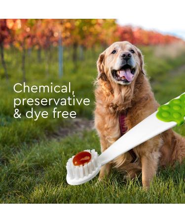 RADIUS Organic Dog Toothbrush & Toothpaste Kit - Non-Toxic, Firm Bristle, Dental Care for Adults - Buy Online on GoSupps.com