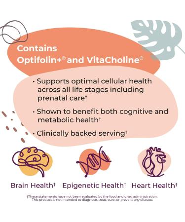 Body Kitchen Mega Folate 1000mcg Optifolin+ 60 Vegetable Capsules Vegan Non-GMO Brain and Heart Health Support - Buy Online on GoSupps.com