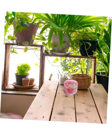 COLLBATH Loose Powder Storage Box Mini Powder Puff Tea Organizer for Tea Bags Coin Box Man Pink Tinplate Face - Buy Online on GoSupps.com