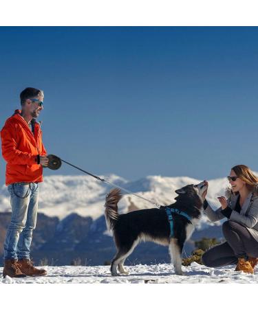 Idepit Heavy Duty Retractable Dog Leash | Anti-Chewing Steel Chain | 360 Tangle-Free | Small & Medium Dogs | 16ft | Black - Buy Online on GoSupps.com