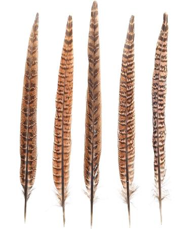 AWAYTR 20pcs Natural Female Pheasant Feathers - 8-11inch DIY Decoration - Buy Online on GoSupps.com