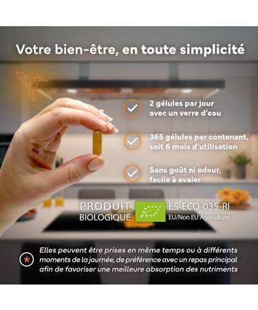 Curcuma Bio G lule Anti Inflammatoire avec Gingembre et Poivre Noir 1410 mg par Dose 365 G lules Format XL co Compl ment Articulations Os Vegan Naturel Sevens - Buy Online on GoSupps.com