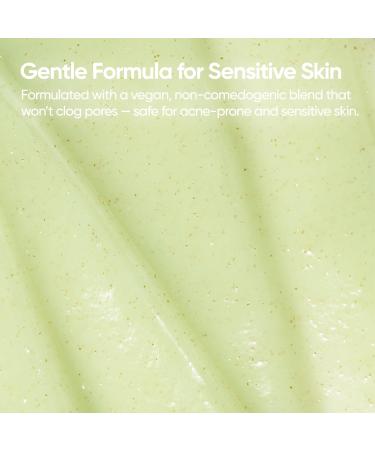 BANILA CO Clean It Zero Tea Tree Pore Peeling Gel | Facial Polish & Vegan Exfoliating Gel for Oily Acne-Prone Skin | Gentle Scrub with BHA & Tea Tree for Smooth Texture & Clear Pores(120ml/4.05fl.oz) 02 Tea Tree - Buy Online on GoSupps.com