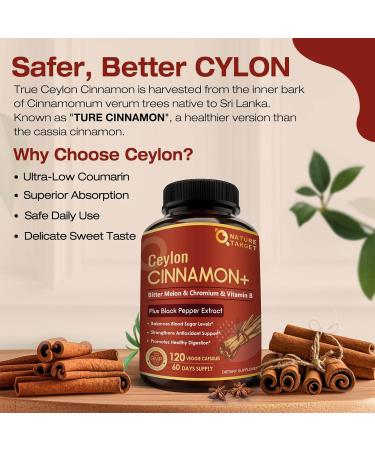NATURE TARGET Ceylon Cinnamon Capsules - Cinnamon Supplements Plus Chromium Bitter Melon Vegetarian 120 Capsules 120 Count (Pack of 1) - Buy Online on GoSupps.com