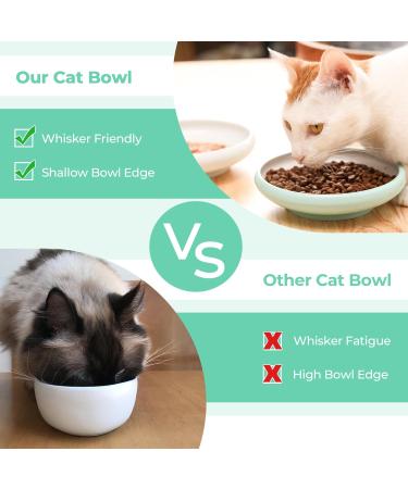 ComSaf Ceramic Cat Feeding Bowl Wide Shallow Cat Food Water Dish Whisker Friendly Design Whisker Fatigue Free shallow cat bowl Non Spill Pet Bowl 300ML Pack of 2 Green Green*2 - Buy Online on GoSupps.com