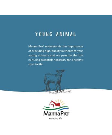 Manna Pro USA Purple Corn Chicken Scratch | Duck Food & Chicken Supplies | 10lbs - Buy Online on GoSupps.com