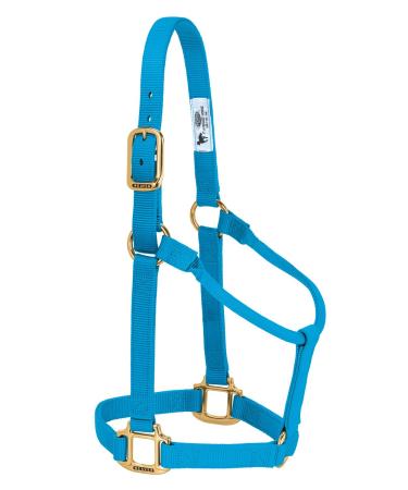 WEAVER Leather Non-adjustable halter Hurricane blue Small Horse - Buy Online on GoSupps.com