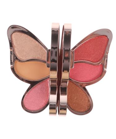 Healvian 2 Pcs Eyeshadow Palette Makeup Blush Makeup Eyeshadow Natural Blush Makeup Artist Must Haves Abs