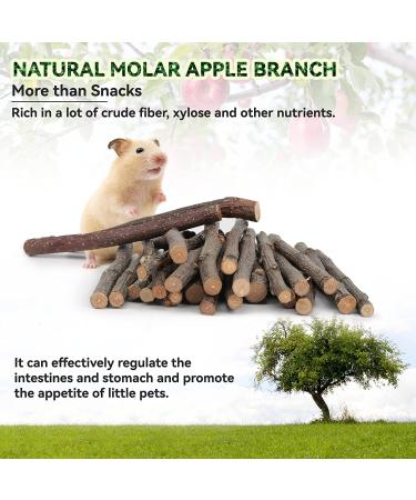 XLpeixin 200g Apple Sticks Chew Toys for Small Animals - Molar Wood Treats for Rabbits, Chinchillas, Guinea Pigs, Hamsters, Gerbils, and Bunnies - Buy Online on GoSupps.com