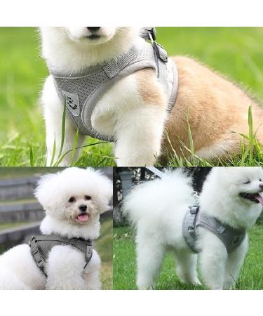 GWAWG Cat Harness and Lead Set Escape Proof Kitten Harness Soft Mesh with Metal Ring for Walking Travel S Grey - Buy Online on GoSupps.com