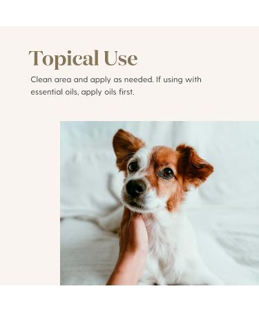 Young Living Animal Scents Pet Skin Ointment - Natural Care with 100% Pure Essential Oils - 6.3 oz for Soothing and Rejuvenating Your Pet's Skin and Coat - Buy Online on GoSupps.com