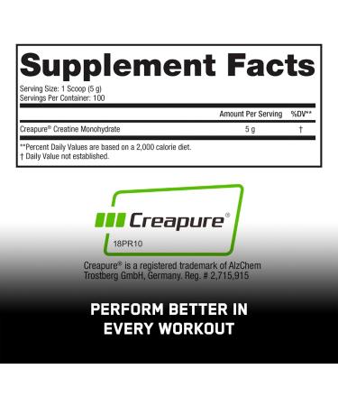 Buy SteelFit Pure Steel Creapure - German Creatine Monohydrate Powder | 100 Servings | Unflavored | Gluten-Free & Vegan Muscle Recovery Supplements for Men & Women - Buy Online on GoSupps.com