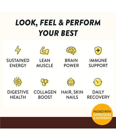 Happy Viking Vegan Chocolate Protein Shake by Venus Williams | 20g Protein, Omega-3, 9 Amino Acids, BCAAs | Gluten-Free, Non-GMO | Ready to Drink | Pack of 12 (11oz) - Buy Online on GoSupps.com