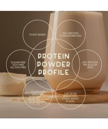 Vegan Protein from Patagonia | Inca Cherimoya | 25g Protein Non-GMO Sugar-Free Gluten-Free | 1 Serving Pack - Buy Online on GoSupps.com