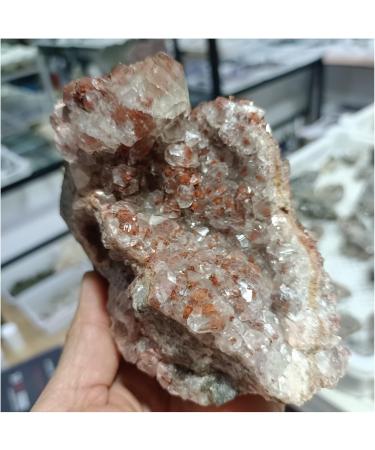 Crystal Cluster Natural Mushroom Calcite Quartz Crystal Specimen Ment Home Degaussing Decoration Gem Gift ningxiao (Size : 800-900g) - Buy Online on GoSupps.com