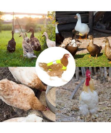 Buy Dongker Waterproof Chicken Vest - Reflective Saddle for Hens & Ducks | Adjustable Pet Safety Apparel in Pink - Buy Online on GoSupps.com
