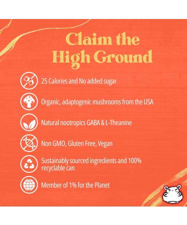 High Ground Elixir Mushroom Seltzer Variety Pack | Lion s Mane for Focus Reishi for Stress Cordyceps Chaga Turkey Tail L-Theanine | Adaptogen Drink | Low Cal No Added Sugar 12oz Cans 6 Pack Variety Pack 6 Pack - Buy Online on GoSupps.com