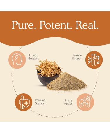 Real Mushrooms Vitamin D2 Zinc Chaga Reishi (120ct) and Cordyceps-M (120ct) Bundle - Natural Immune Support Energy and Vitality - Vegan Gluten Free Non-GMO Organic Mushroom Extracts - Buy Online on GoSupps.com