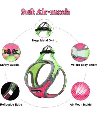 Doramio Dog Harness for Small Dogs - Reflective & Breathable Safety Harness with Leash | Ideal for Dogs & Cats (L Rose Red) - Buy Online on GoSupps.com