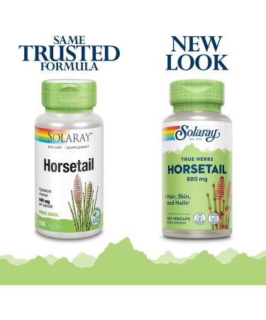Solaray Horsetail 880 mg - Horsetail Supplement with Natural Silica Aerial Horse Tail Grass Capsules Herb Vitamins for Overall Health - 100 Vegan Capsules - Buy Online on GoSupps.com