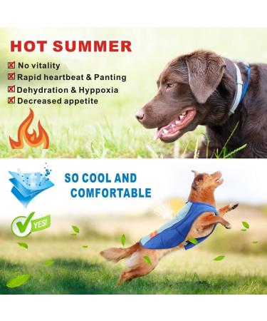 MOSUCOURL Dog Cooling Vest - Breathable Summer Coat for Dogs | Anti-Heat Evaporative Jacket for Outdoor Activities (Blue XS) - Buy Online on GoSupps.com