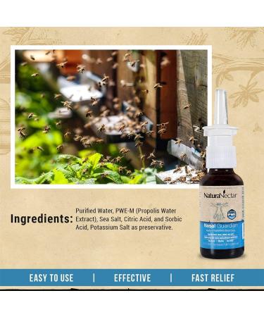 NaturaNectar Nasal Guardian Spray 1.0 fl oz - Natural Relief for Nasal Comfort - Buy Online on GoSupps.com