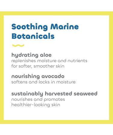 Seaweed Bath Co. Clear Guard SPF 40 Sport Sunscreen Spray 6oz | Broad Spectrum, Seaweed, Aloe, Avocado Oil - Buy Online on GoSupps.com
