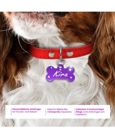 Ibera Gifts - Personalized Bone-Shaped Dog & Cat Collars | Engraved Neck Bands for Medium to Large Pets (Purple Stars) - Buy Online on GoSupps.com