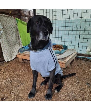 Eastlion 5XL Dog Warm Hoodies & Sweater - Black Pet Clothing for Cold Weather | International Shipping - Buy Online on GoSupps.com