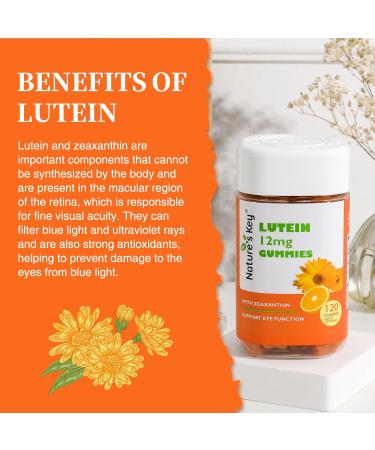 Nature's Key Lutein Gummies 12mg with Zeaxanthin & Vitamin A for Kids and Adults | Eye Health and Brain Function Supplement | Orange Flavor, 120Ct 120 Count (Pack of 1) - Buy Online on GoSupps.com