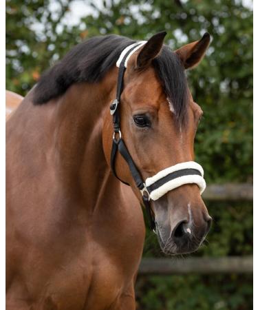 Netproshop Solid Horse Halter - Padded & Adjustable Sizes from Mini Shetty to Full U Cold Blood - Black Full - Buy Online on GoSupps.com