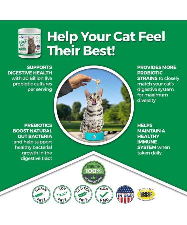 Vital Planet Flora Cat Probiotic Powder Supplement - 20 Billion Cultures, 10 Strains - 30 Scoops 3.92 oz - Buy Online on GoSupps.com