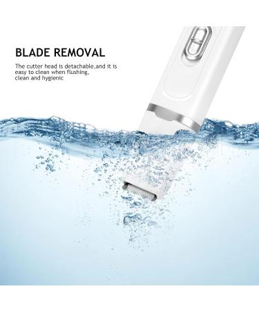 Dog Clippers Low Noise Dog Paw Trimmer Dog Clippers Rechargeable Cordless Pet Clippers with Guide Combs and Cleaning Brush Kits Pet Clipper Shaver for Dogs Cats Paw Shaver for Dogs Cats Paw - Buy Online on GoSupps.com