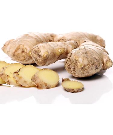 Scheidler Horse-Direkt Ginger Devil's Claw Pelleted 1750g - 20% Devil's Claw & 30% Ginger | International Shipping Available - Buy Online on GoSupps.com
