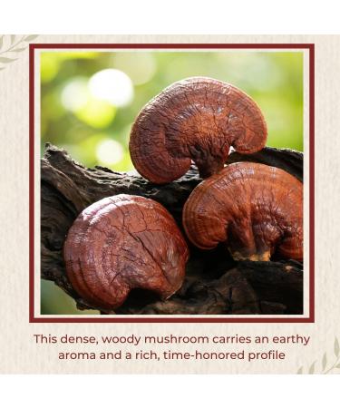 Plum Dragon Ling Zhi | Reishi Mushroom - 1lb - Buy Online on GoSupps.com