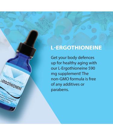 Absonutrix L-Ergothioneine Liquid Supplement 590 mg 200 Servings Made in USA Quick Absorption Quality Potent Ingredients Non-GMO GMP Certified Facility Cruelty-Free Products - Buy Online on GoSupps.com