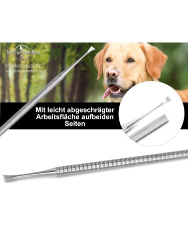 Buy Dog Tartar Remover Set - 2-Part Stainless Steel Tooth Cleaner for Pets | Effective Tartar Scraper & Specialist Retailer - Buy Online on GoSupps.com