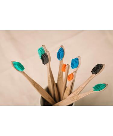 Georganics Sustainable Beech Wood Toothbrush - Eco-Friendly Vegan Soft BPA-Free Nylon Bristles for Adults - Compostable & Recyclable Handle No SLS Fluoride or Animal Testing - Buy Online on GoSupps.com